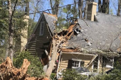 <span>Sunday Morning Tip for Dec 12:</span> Where to Begin When You Find Damage in Your Home