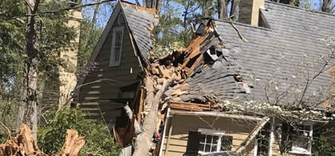 <span>Sunday Morning Tip for Dec 12:</span> Where to Begin When You Find Damage in Your Home