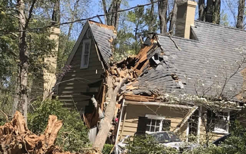 <span>Sunday Morning Tip for Dec 12:</span> Where to Begin When You Find Damage in Your Home