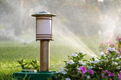 Planning on Landscaping Your Property? Here Are 5 Helpful Tips To Get the Job Done