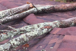Filing An Insurance Claim for Roof Damage Properly
