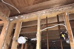 Answering the Question Of Whether Termite Control Is Worth It?
