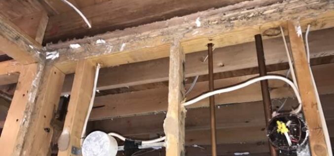 Answering the Question Of Whether Termite Control Is Worth It?