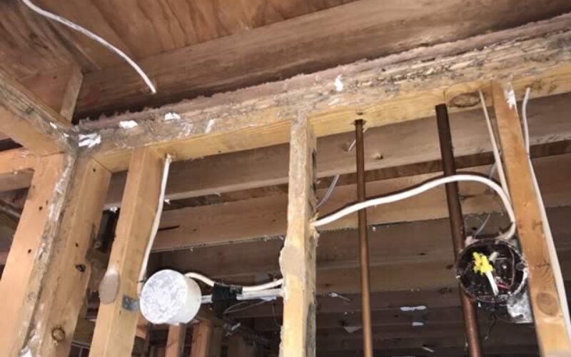 Answering the Question Of Whether Termite Control Is Worth It?