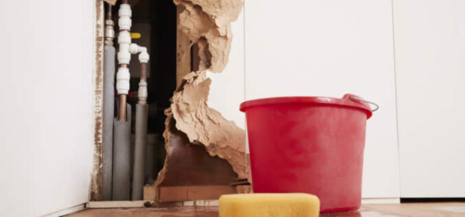 Tips for Solving Water Damage Issues in Tampa