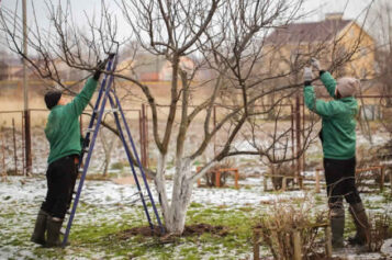 5 Backyard DIY Projects To Do During the Winter