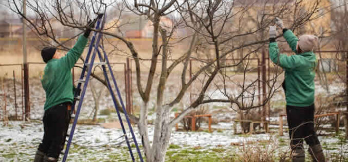 5 Backyard DIY Projects To Do During the Winter
