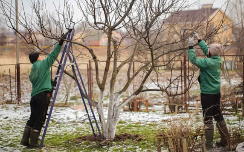 5 Backyard DIY Projects To Do During the Winter