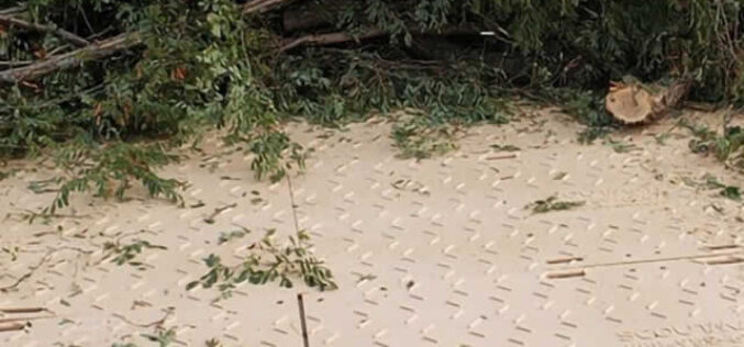 Why Homeowners Should Insist on Road Mats