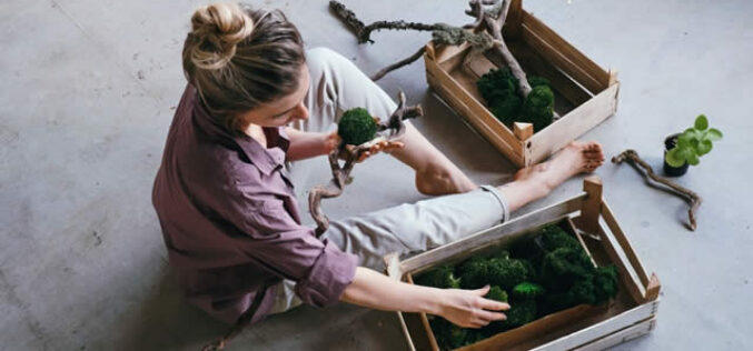 6 DIY Garden Ideas on A Budget to Your Home Stylish