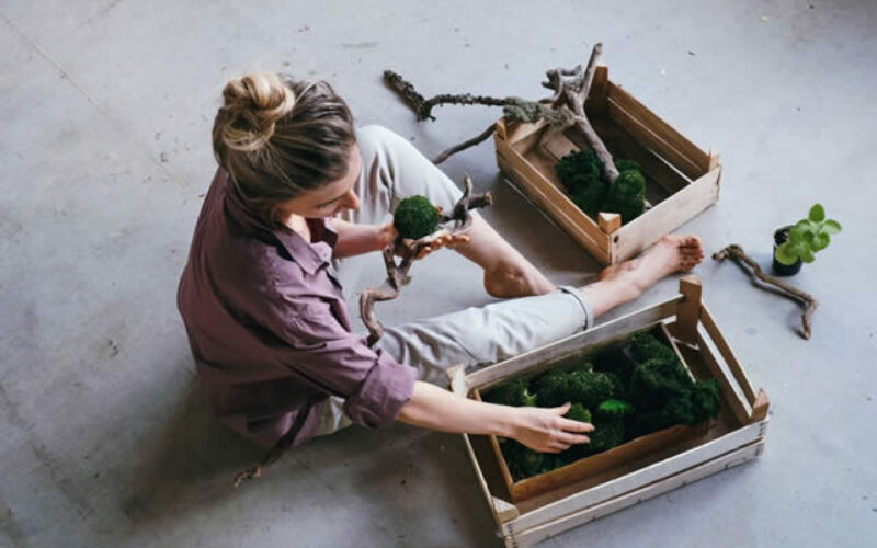 6 DIY Garden Ideas on A Budget to Your Home Stylish