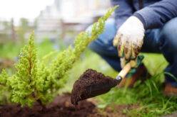 Landscaping Ideas That Increase Property Value