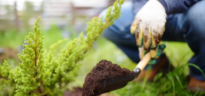 Landscaping Ideas That Increase Property Value