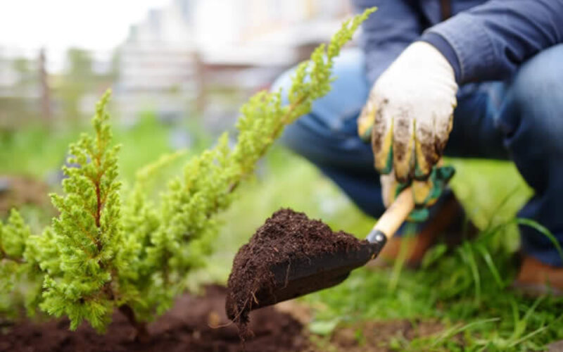 Landscaping Ideas That Increase Property Value
