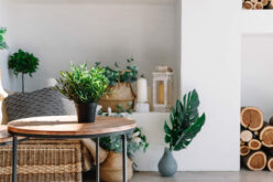 Top Interior Design Trends To Look Out for in 2022