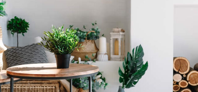 Top Interior Design Trends To Look Out for in 2022