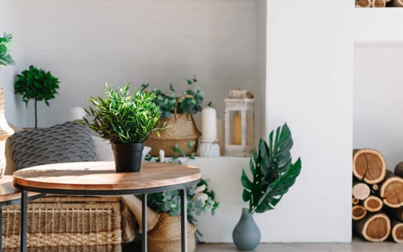 Top Interior Design Trends To Look Out for in 2022