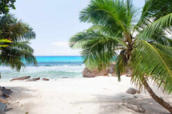 Here’s Why You Should Travel to Hawaii for Rehab
