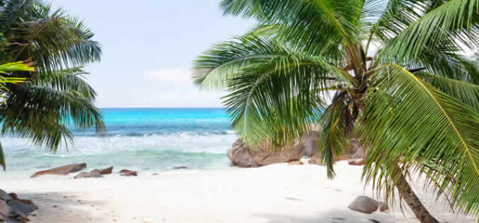 Here’s Why You Should Travel to Hawaii for Rehab