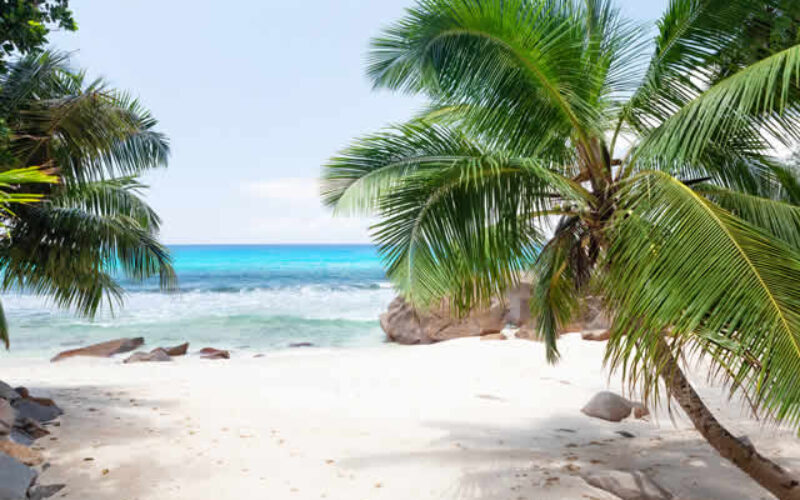 Here’s Why You Should Travel to Hawaii for Rehab