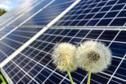 How Software Development Helps Solar Industry