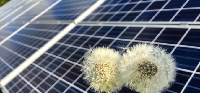 How Software Development Helps Solar Industry