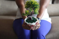 Popular Home Improvement Projects to Focus on This Spring