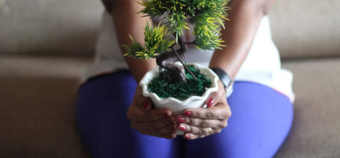 Popular Home Improvement Projects to Focus on This Spring