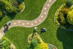 4 Common Landscaping Mistakes to Avoid This Spring
