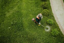 Five Tips for Getting Your Lawn Ready for Spring