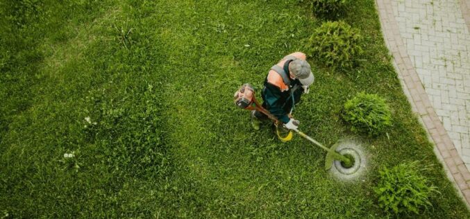 Five Tips for Getting Your Lawn Ready for Spring