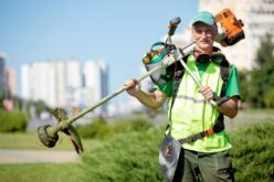 Tips for Finding a Reputable Landscaping Company