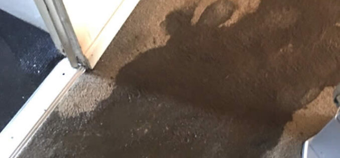 <span>Sunday Morning Tip for Apr 24:</span> The Complete Guide To Water Damage Restoration