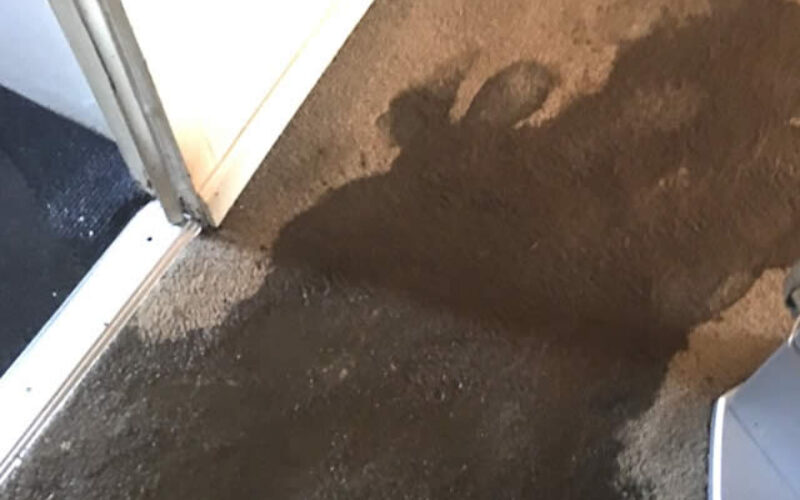 <span>Sunday Morning Tip for Apr 24:</span> The Complete Guide To Water Damage Restoration