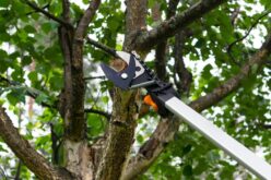 Easy Steps To Clean Your Property for Potential Buyers
