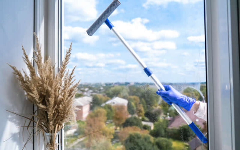 How To Clean Your Own Windows & Gutters – Full Guide