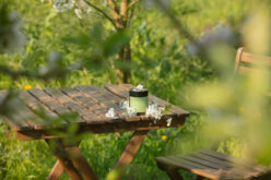 <span>Sunday Morning Tip for May 08:</span> New Home? Here Are 5 Upgrades You Can Make to Your Yard