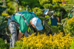How To Clean Up After A Major Landscaping Project