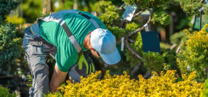 How To Clean Up After A Major Landscaping Project