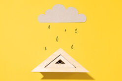 What Should You Do When Your Roof is Leaking?