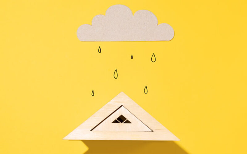 What Should You Do When Your Roof is Leaking?