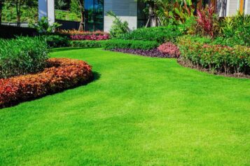 The Best Ways You Can Keep Your Yard Nice for the Summer