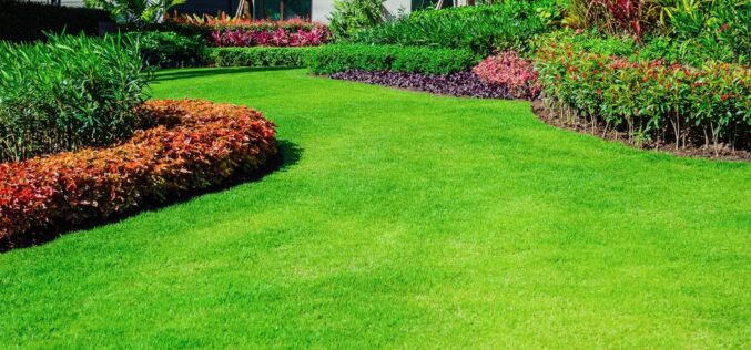 The Best Ways You Can Keep Your Yard Nice for the Summer
