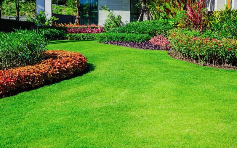 The Best Ways You Can Keep Your Yard Nice for the Summer
