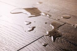 Signs You Have a Water Leak in Your Home