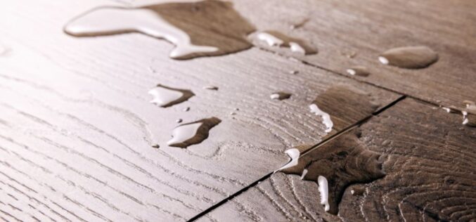 Signs You Have a Water Leak in Your Home