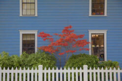 3 Tips for Beautiful Color Harmonies in Home Exterior Paint