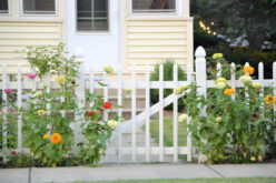 Why it is Important to Keep the Exterior of Your Home Clean