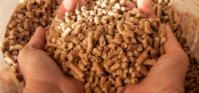 What is a Pellet Grill & How Does it Work