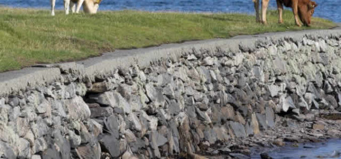 Why Choose Professional Seawall Construction